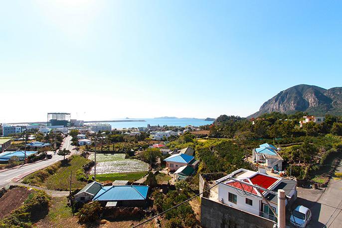Apartament Island Tree Seogwipo Zewnętrze zdjęcie